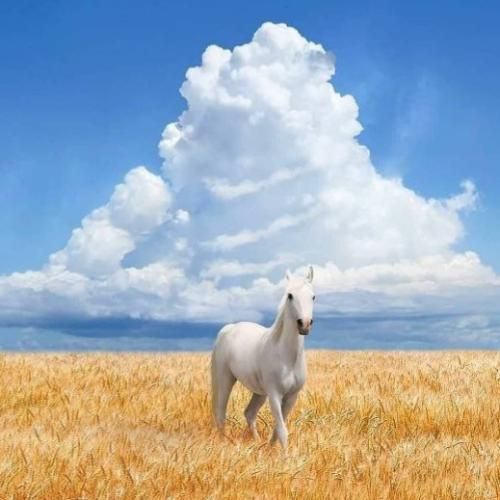 اقساطی ها ارشادی ها تو کلاب رژیمی بکش بازیا