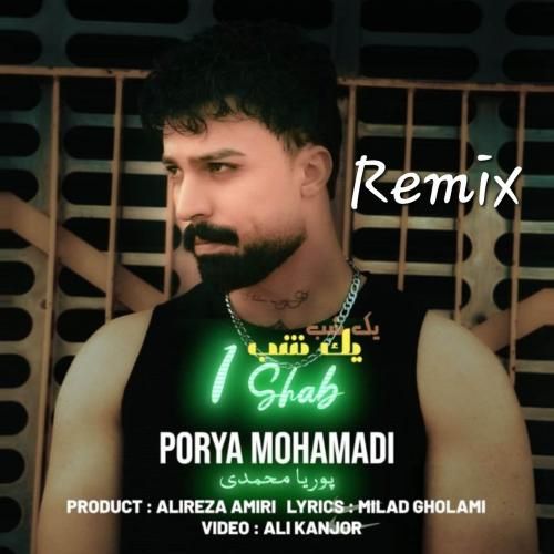 دانلود ریمیکس پوریا محمدی به نام یک شب