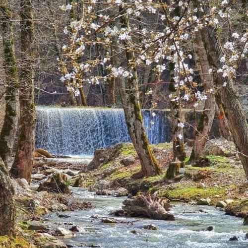 دانلود آهنگ جدید الان هرکی زنگ میزنه میگم کار دارم