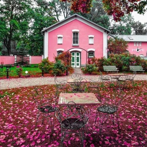 دانلود آهنگ جدید بودم یک حتی تو کالج بیا تیزی بهت بزنم کالج