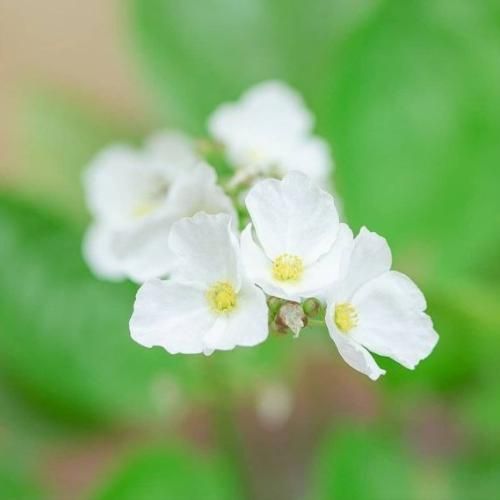 دانلود آهنگ جدید همه میدونن یکی یدونه ی این دلم بودی