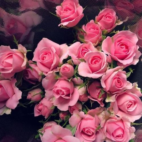 دانلود آهنگ جدید تو دستت کارده تو آشپزخونه من دستم کاره ولی آشپزخونه