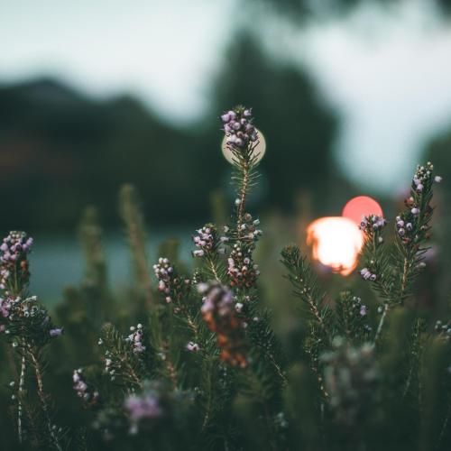 دانلود آهنگ جدید حالم مثل قبلا نی از دل من رفتی