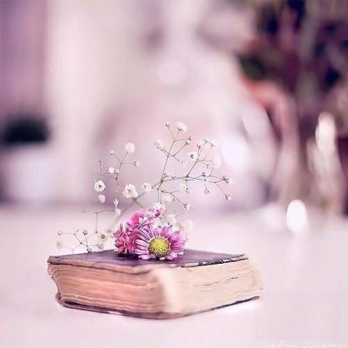  شاید از جلوم چند سال دیگه رد شی نمیشناسم تو رو هر جایی