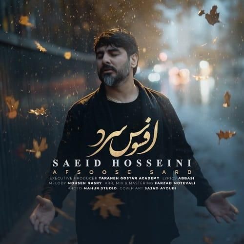 دانلود آهنگ افسوس سرد از سعید حسینی