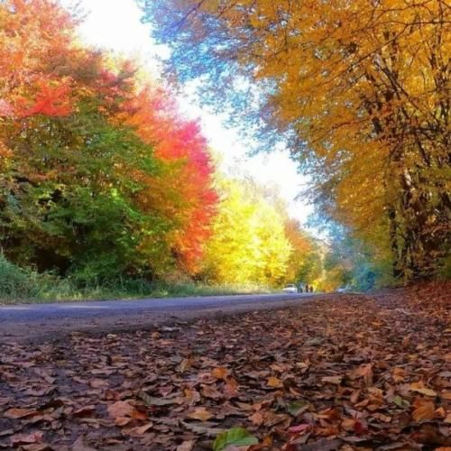 دانلود آهنگ جدید واژه ها رو نمیگیرم نادیده حاجی باید کلاس بیای پیشم