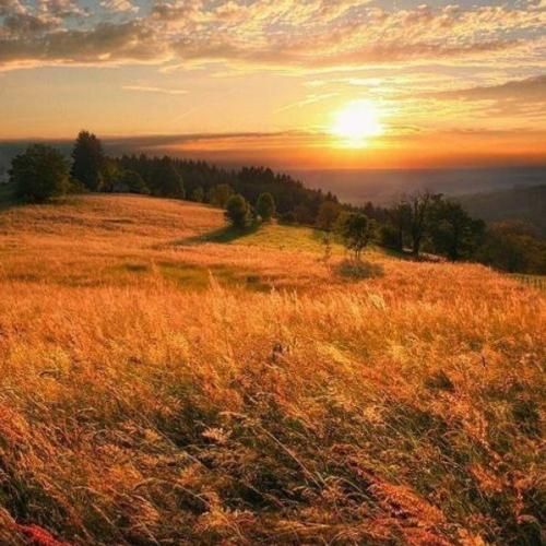 دانلود آهنگ جدید کاش که این برفا نرن کاش نشه فصلا عوض