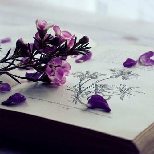 دانلود آهنگ جدید بد زدی حسامو دور حرص میخورم امسالو کلشو