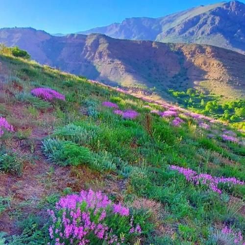 دانلود ریمیکس دوباره بارون زد و خستگی و حال بدو هوش مصنوعی