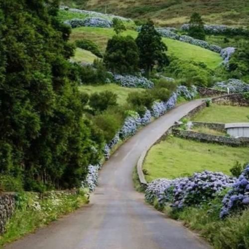  همه میگن عشقت دامه میخوامت حتی اگه اشتباهه