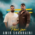 دانلود آهنگ جدید پری جان از امیر شهرایینی