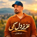 دانلود آهنگ جدید عزیز دل کی از شاهان دانلود آهنگ جدید عزیز دل کی از شاهان